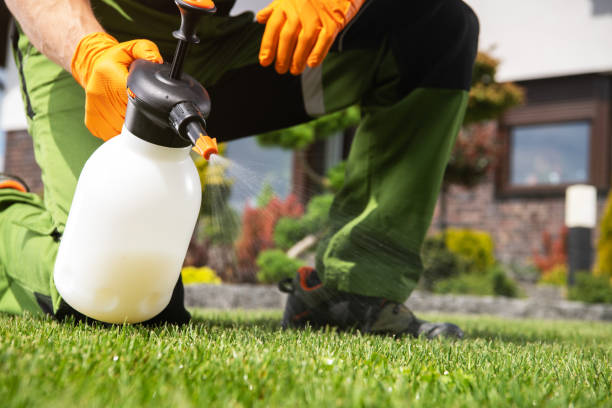 Trusted Monongah, WV Pest Control Experts