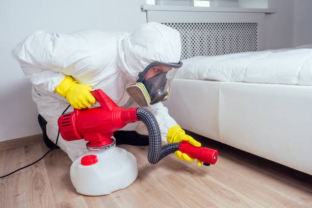 Best Affordable Pest Control Services  in Monongah, WV