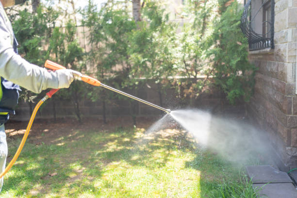 Best Exterminator Services  in Monongah, WV