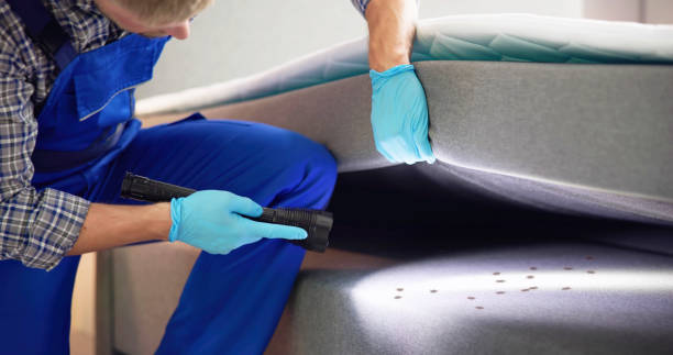 Best Emergency Pest Control  in Monongah, WV