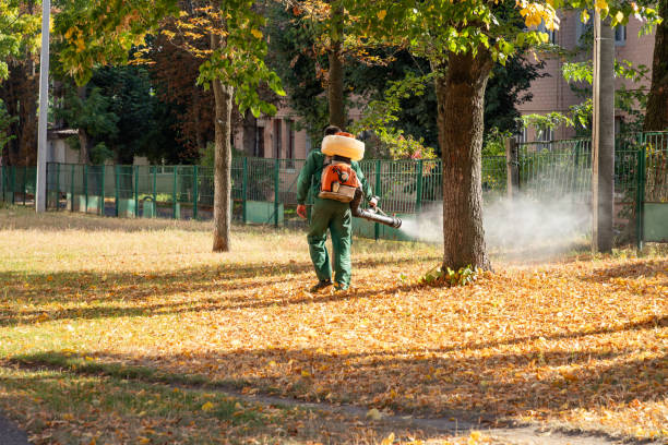 Best Mosquito Control Services  in Monongah, WV