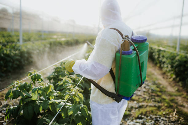Best Affordable Pest Control Services  in Monongah, WV